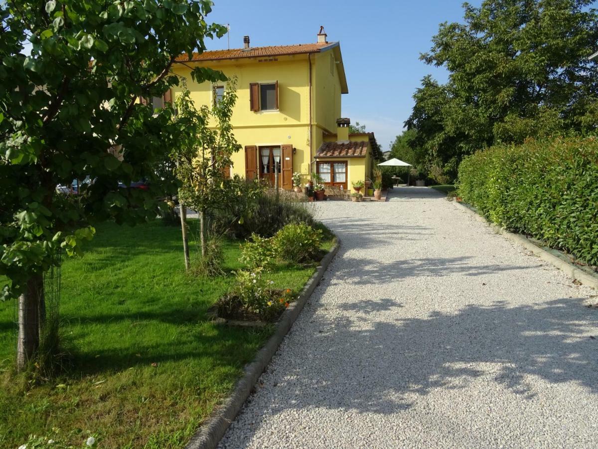 Appartamento Podere I Renai Santa Maria a Monte Kültér fotó